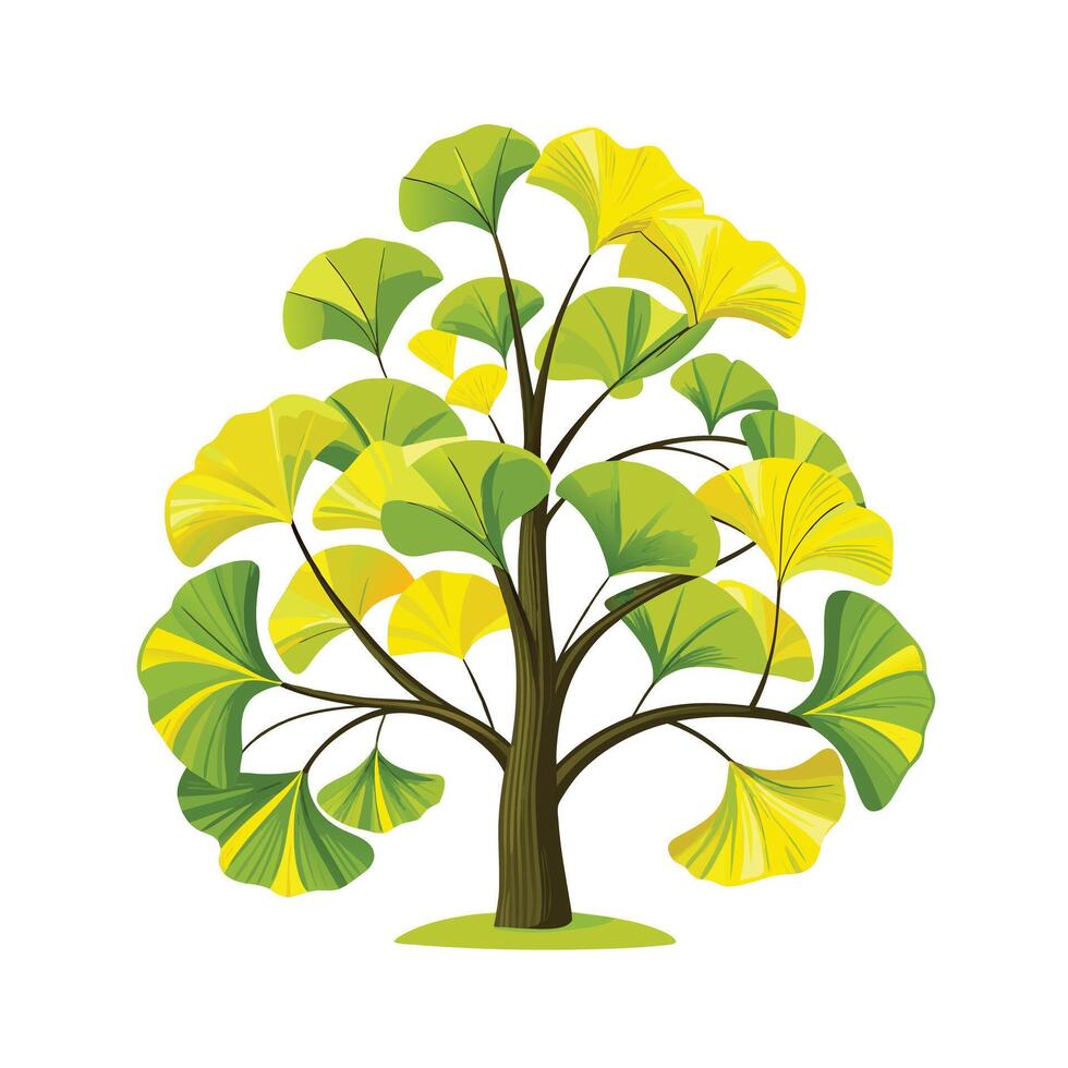 Beautiful Single Big Tree Illustration vector