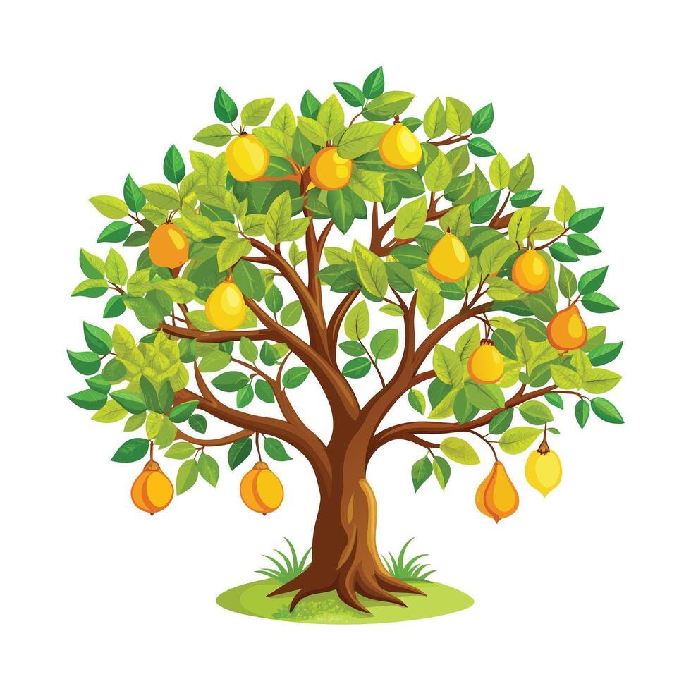 Beautiful Single Big Tree Illustration vector