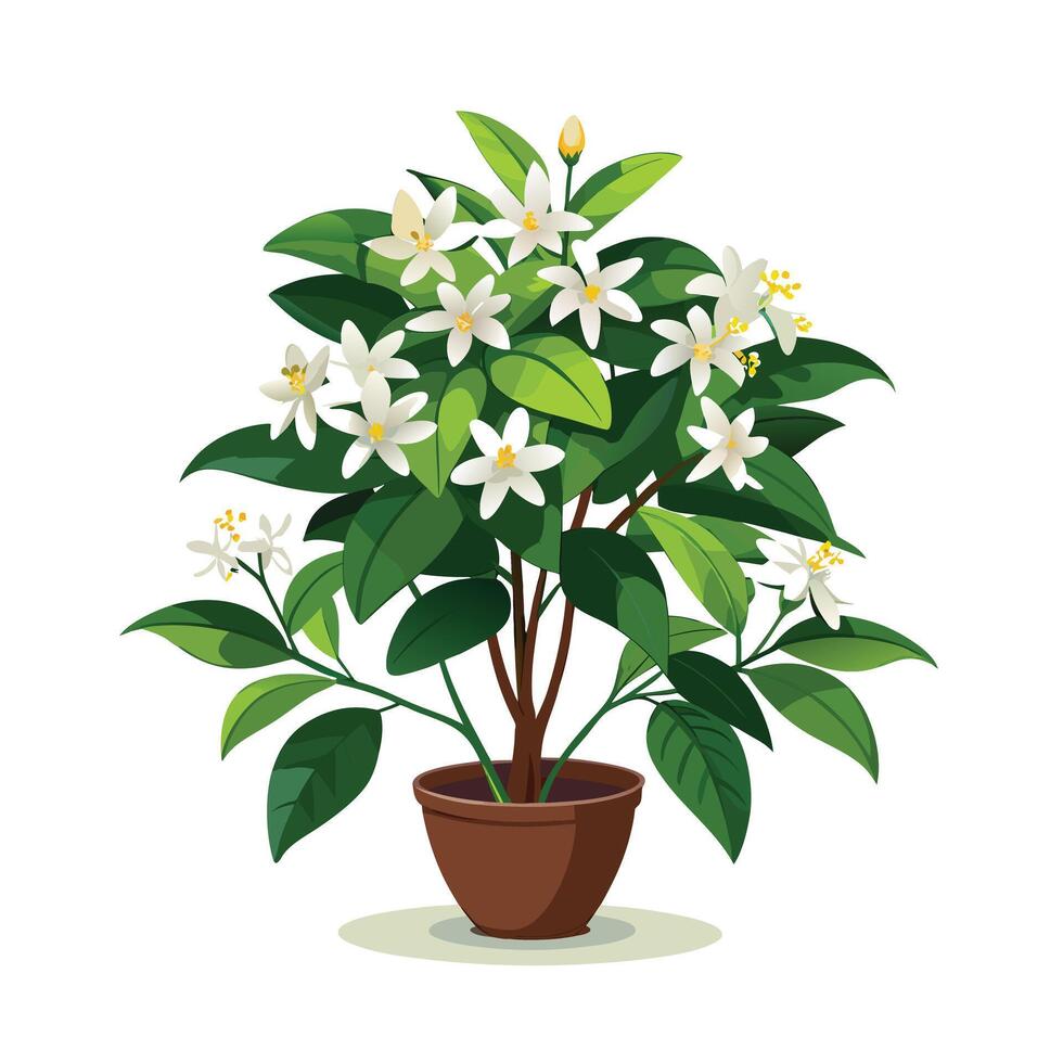 Beautiful Flowerpot Houseplant Illustration vector
