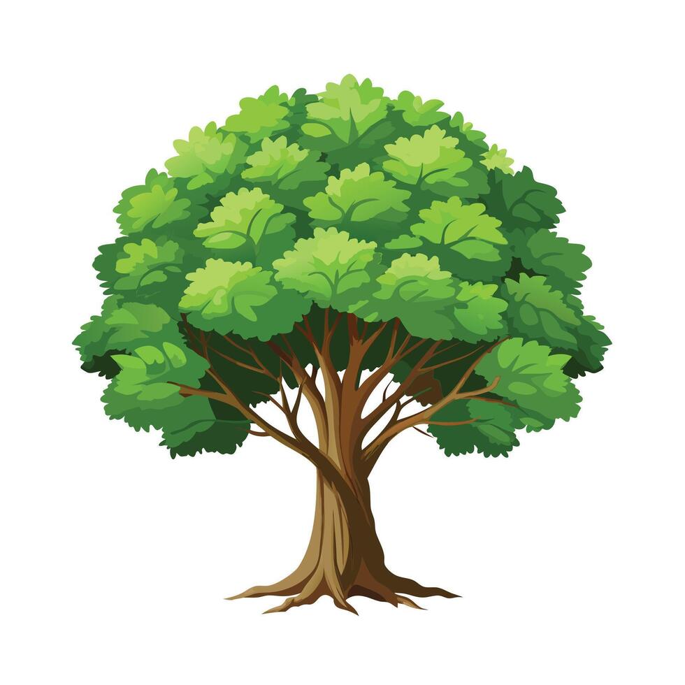 Beautiful Single Big Tree Illustration vector