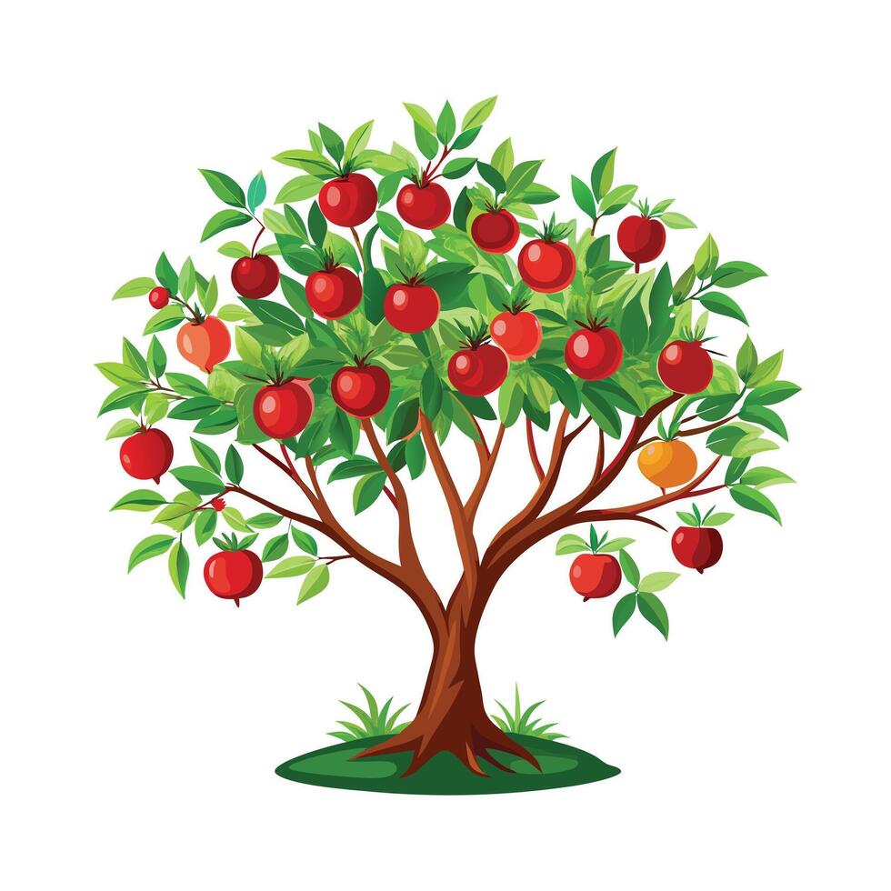 Beautiful Single Big Tree Illustration vector