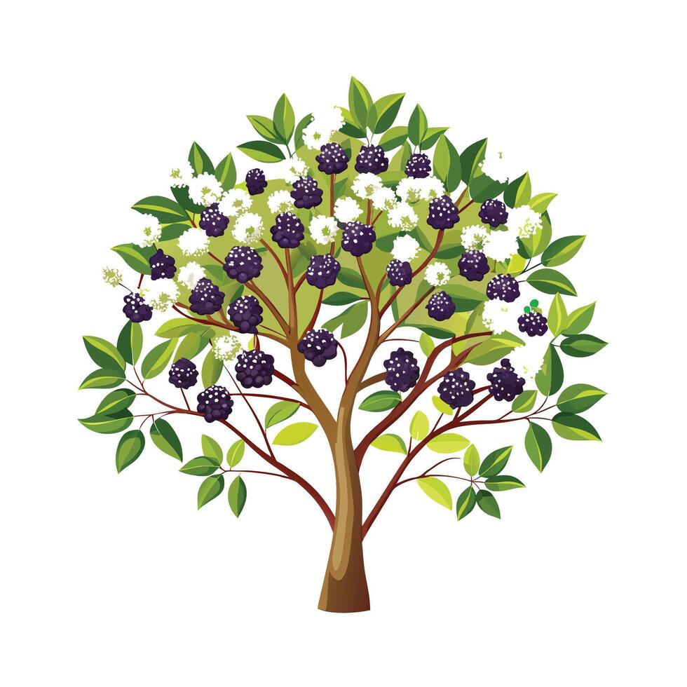 Beautiful Single Big Tree Illustration vector