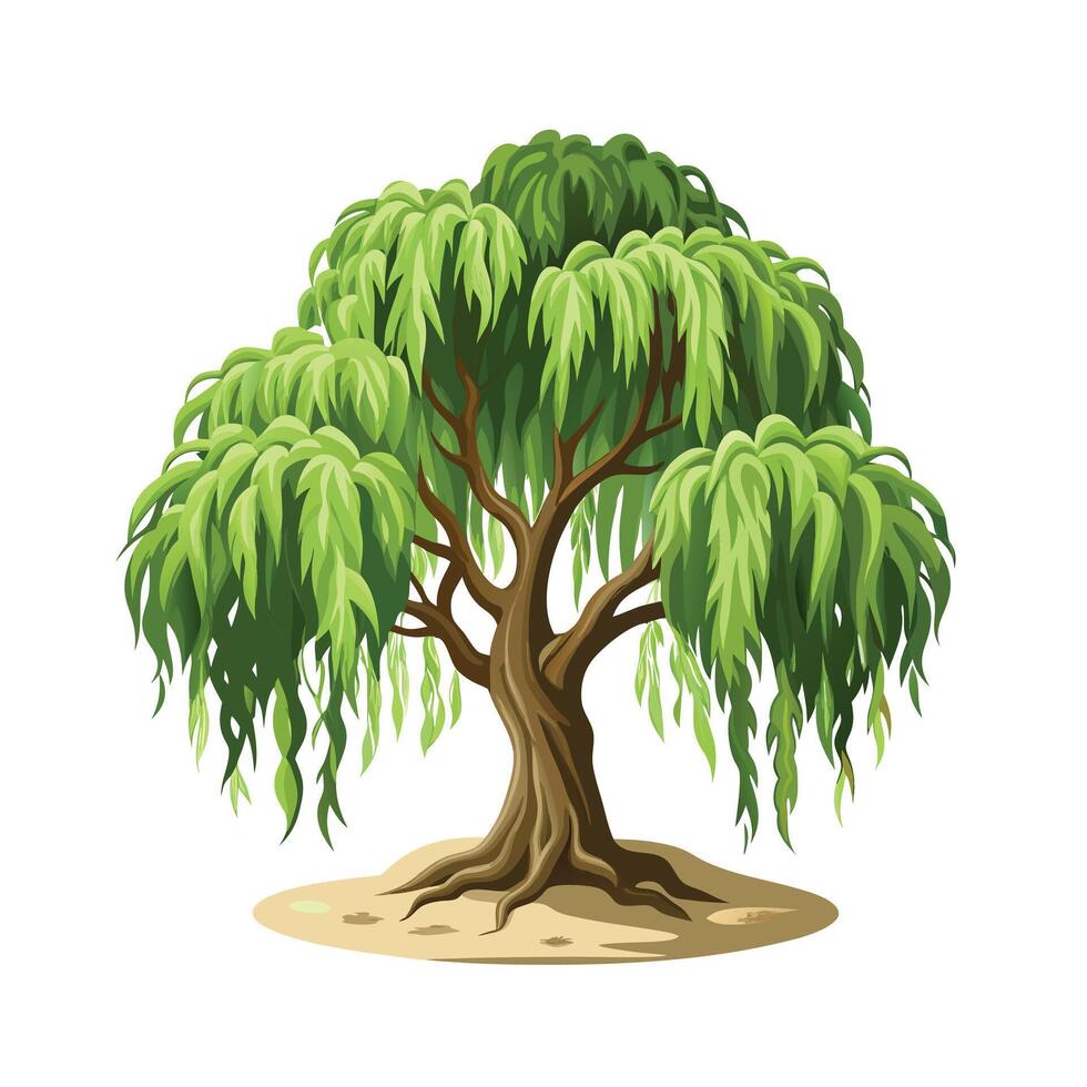 Beautiful Single Big Tree Illustration vector