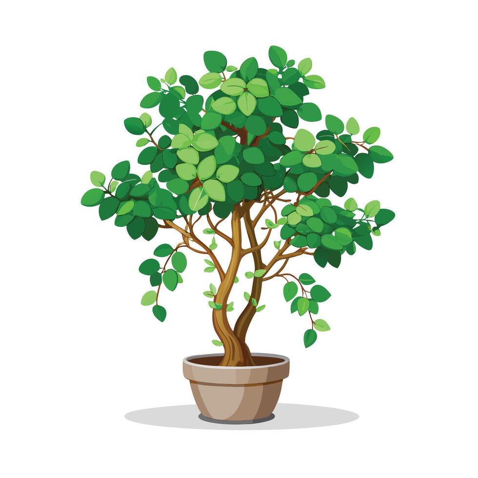 Beautiful Flowerpot Houseplant Illustration vector