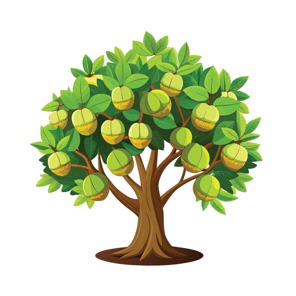 Beautiful Single Big Tree Illustration vector