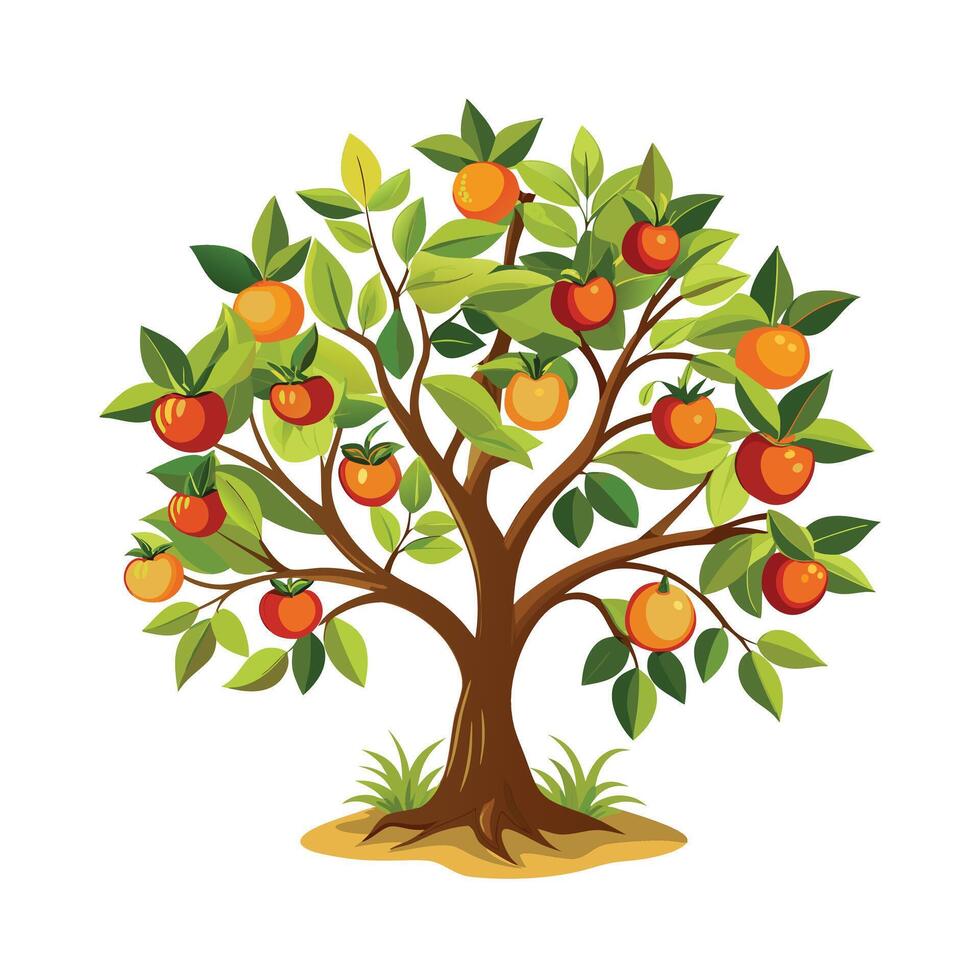 Beautiful Single Big Tree Illustration vector