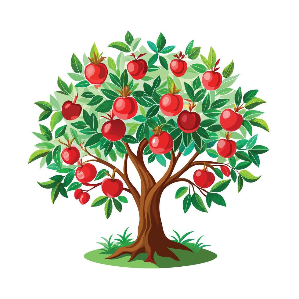 Beautiful Single Big Tree Illustration vector