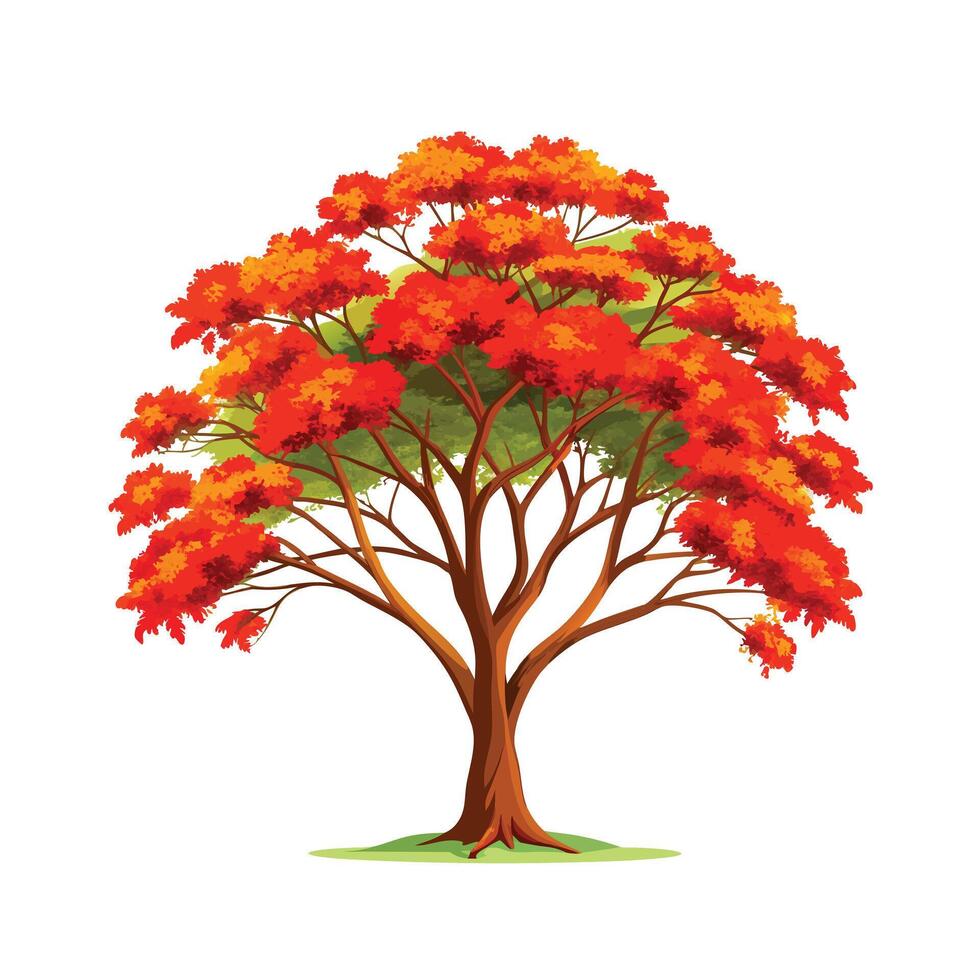 Beautiful Single Big Tree Illustration vector