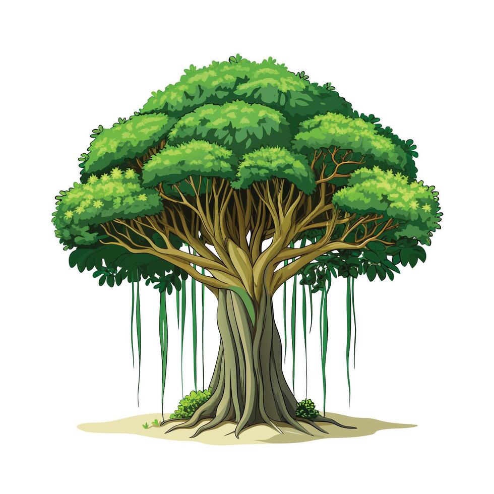 Beautiful Single Big Tree Illustration vector