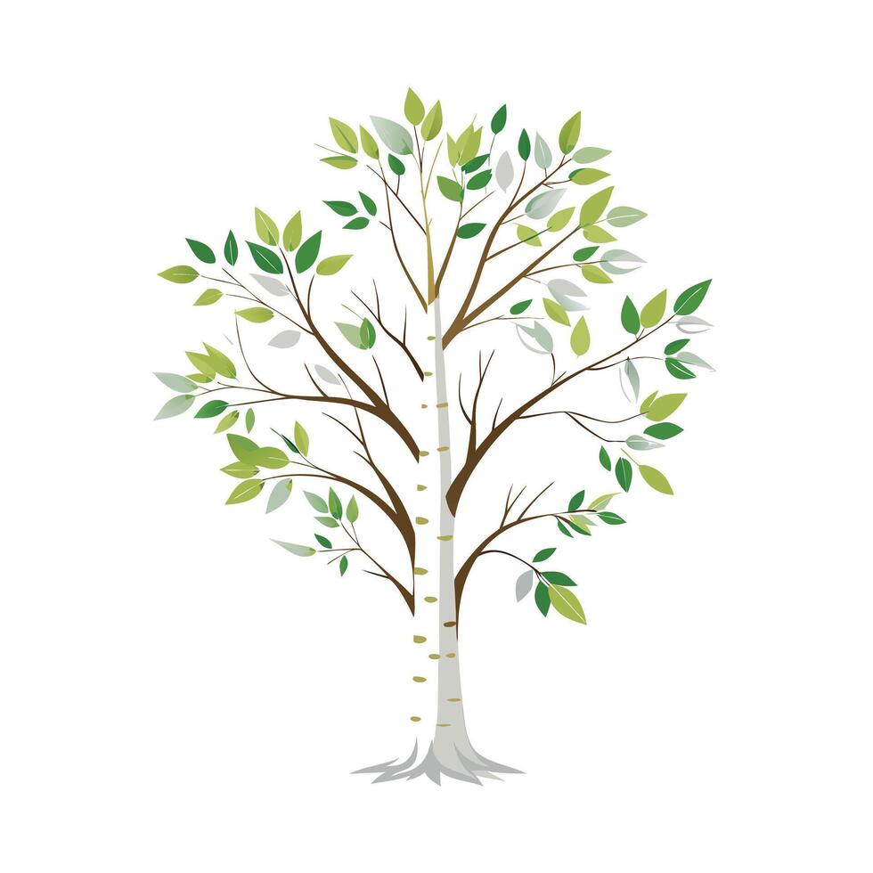 Beautiful Single Big Tree Illustration vector