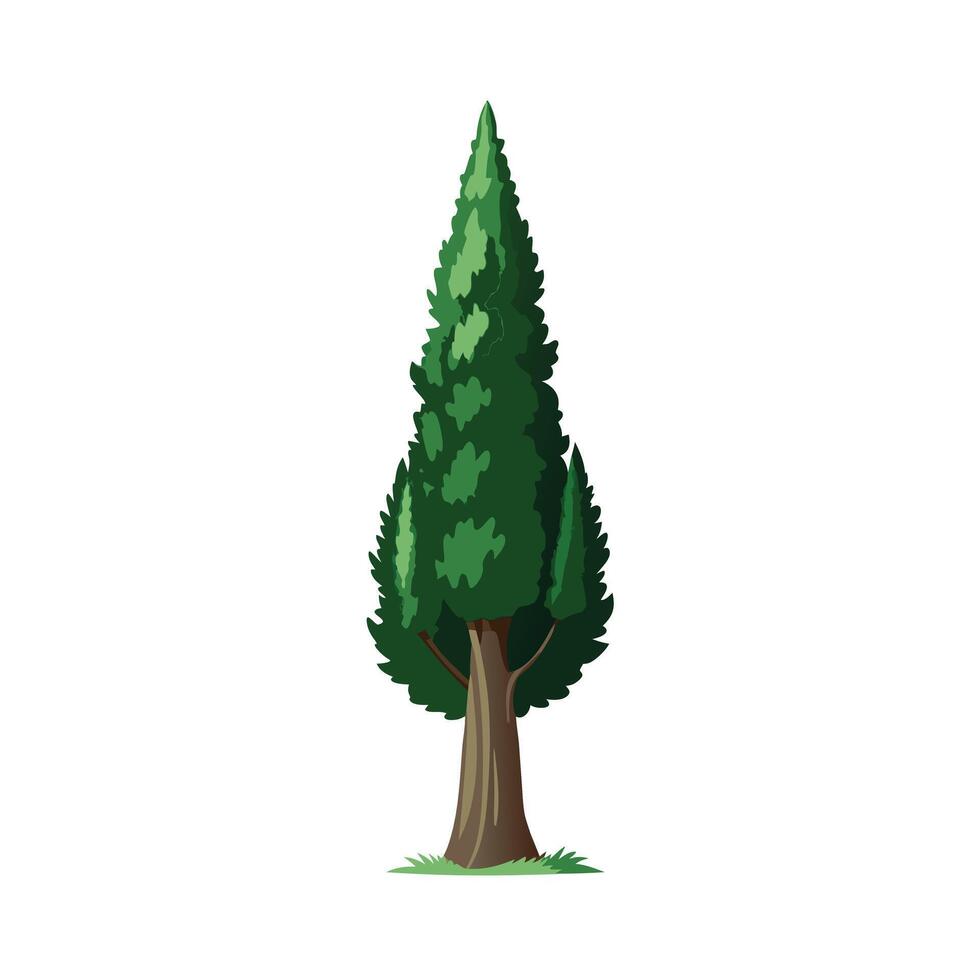 Beautiful Single Big Tree Illustration vector