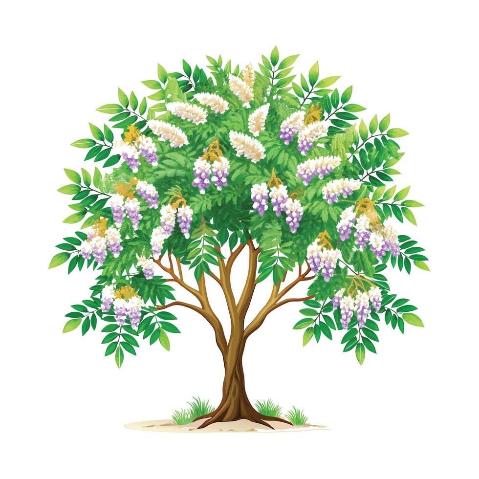 Beautiful Single Big Tree Illustration vector