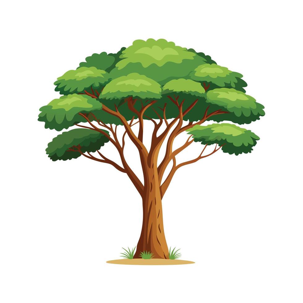 Beautiful Single Big Tree Illustration vector
