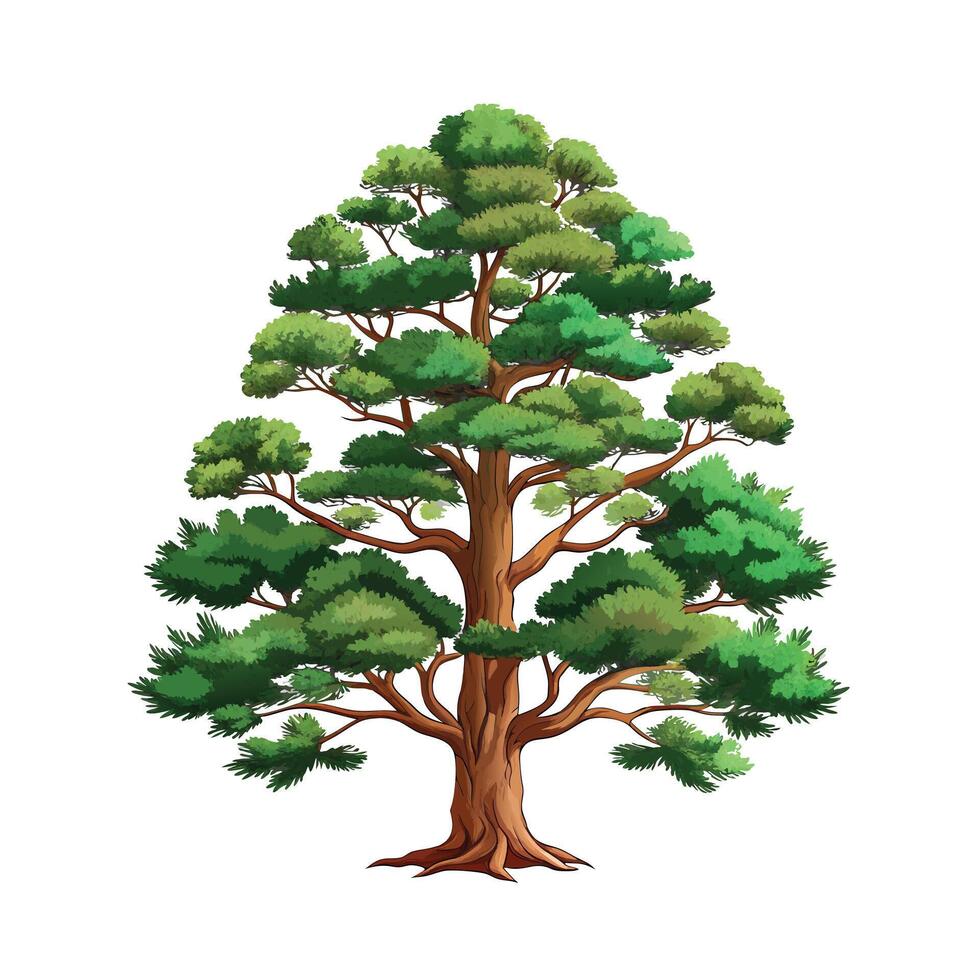 Beautiful Single Big Tree Illustration vector