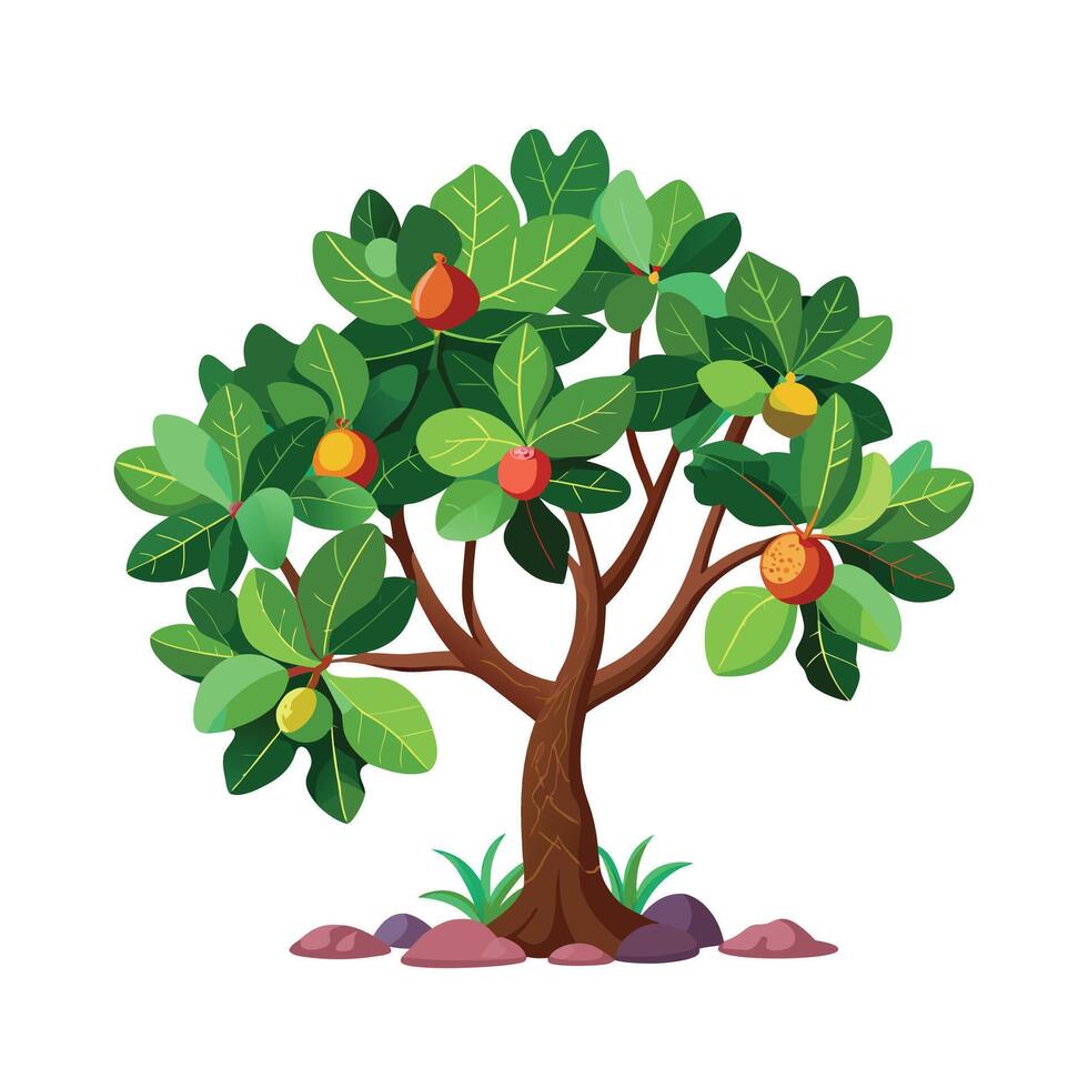 Beautiful Single Big Tree Illustration vector