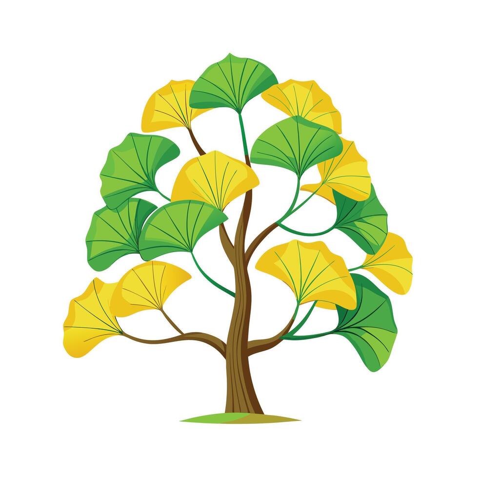 Beautiful Single Big Tree Illustration vector