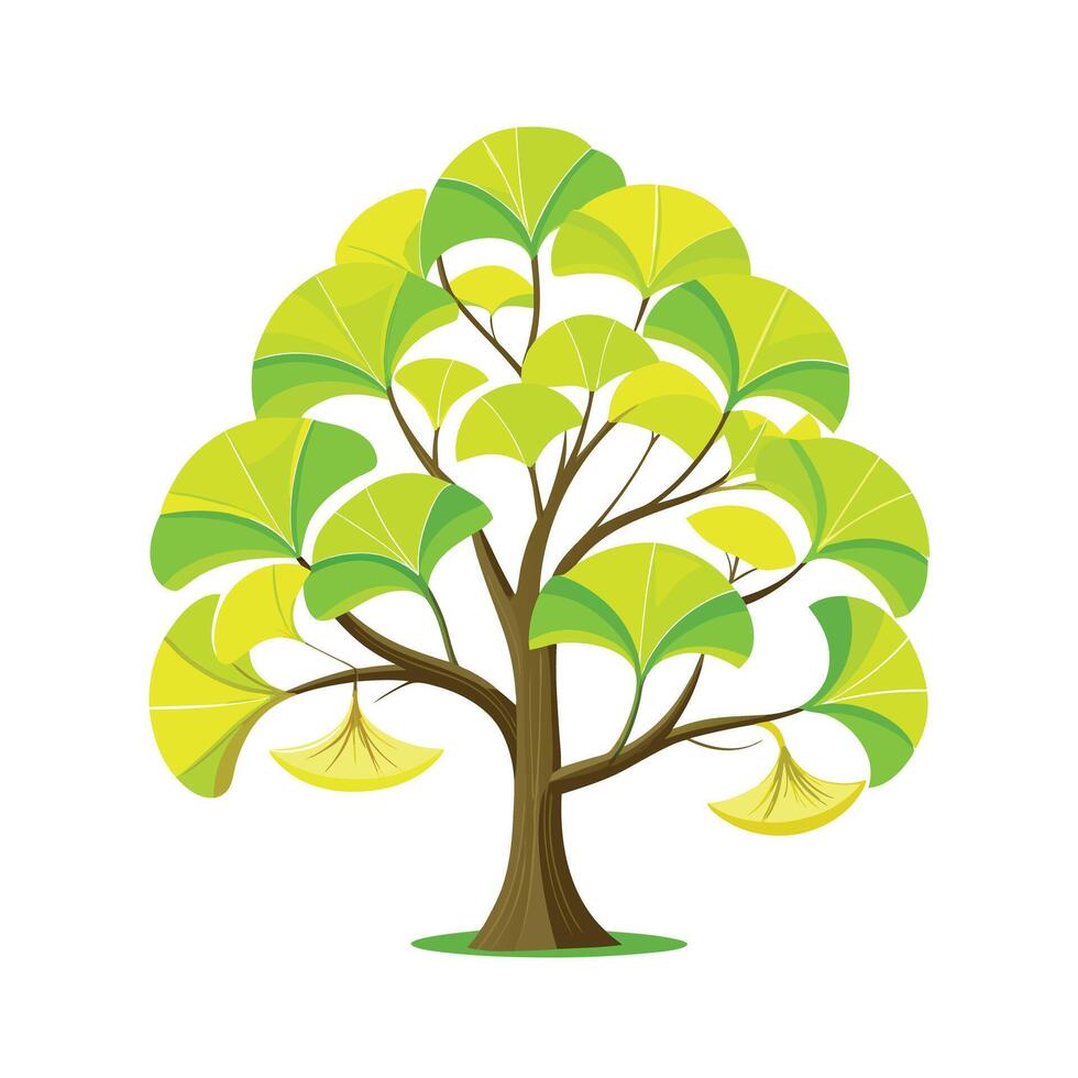 Beautiful Single Big Tree Illustration vector