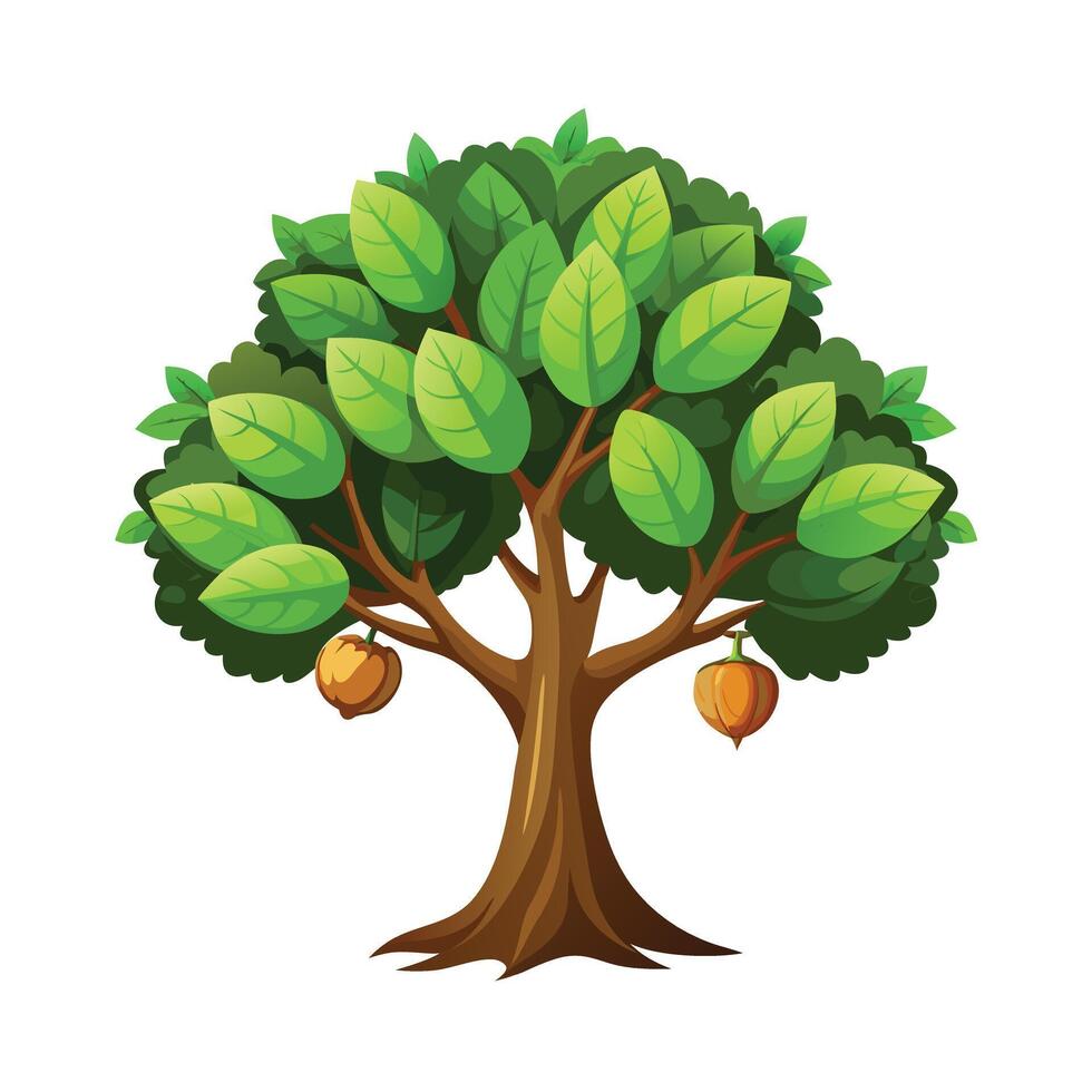 Beautiful Single Big Tree Illustration vector