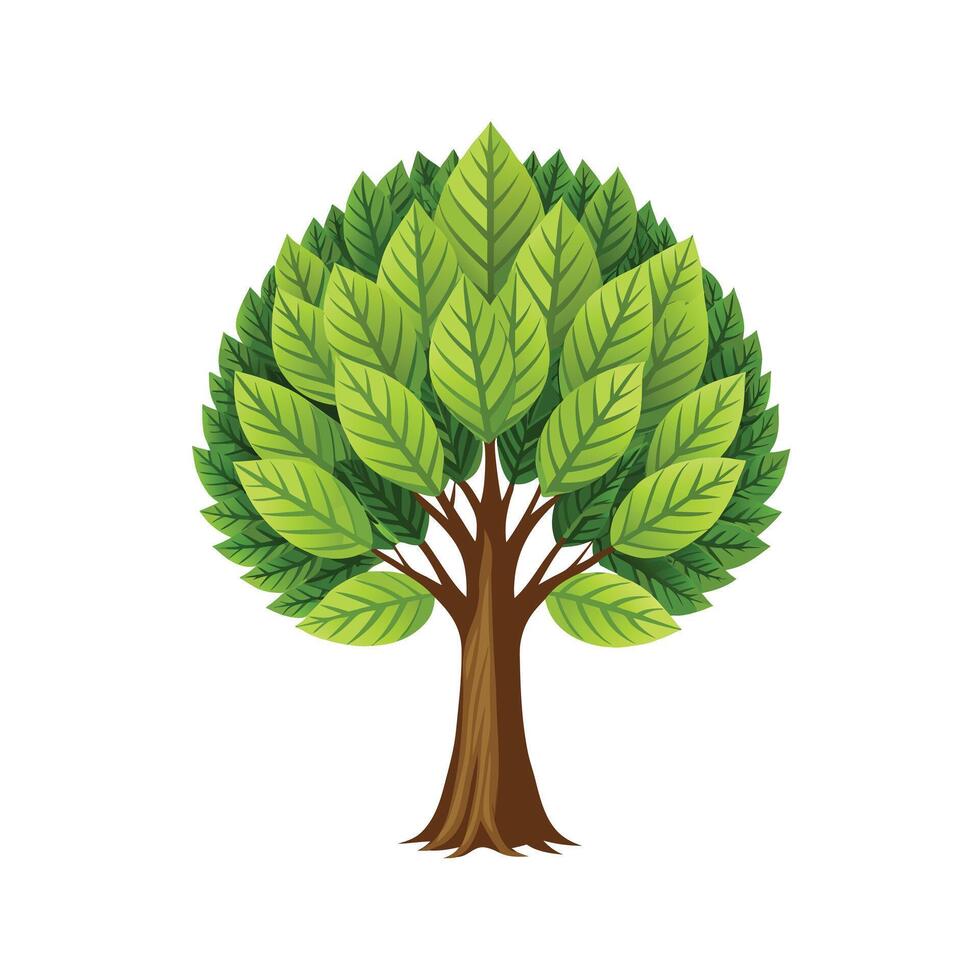 Beautiful Single Big Tree Illustration vector