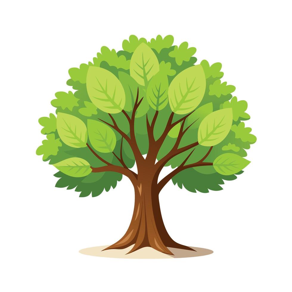 Beautiful Single Big Tree Illustration vector