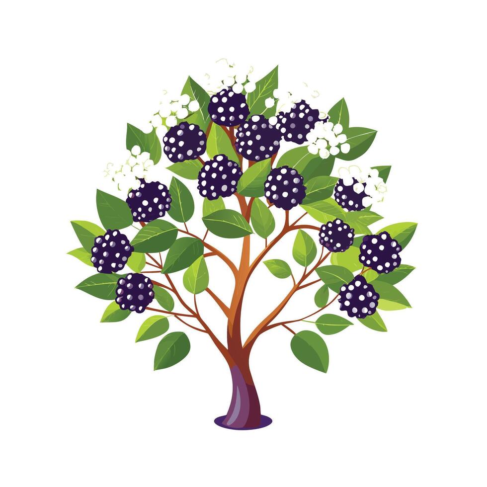 Beautiful Single Big Tree Illustration vector