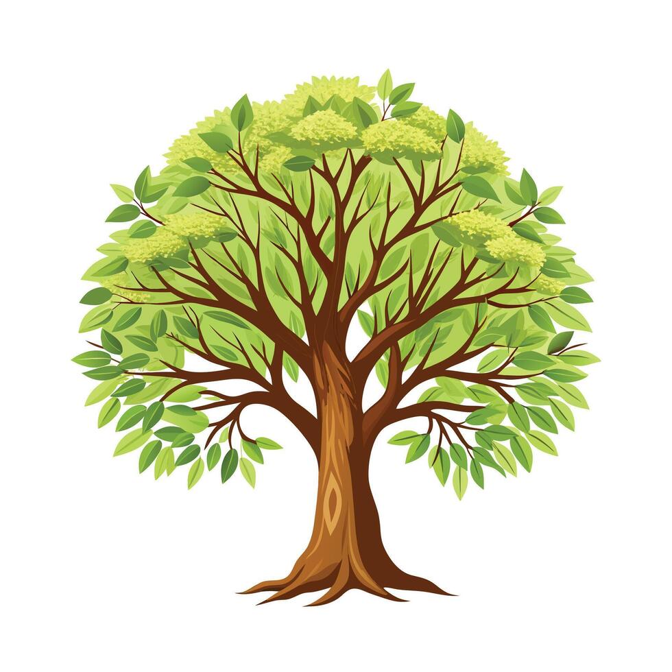 Beautiful Single Big Tree Illustration vector
