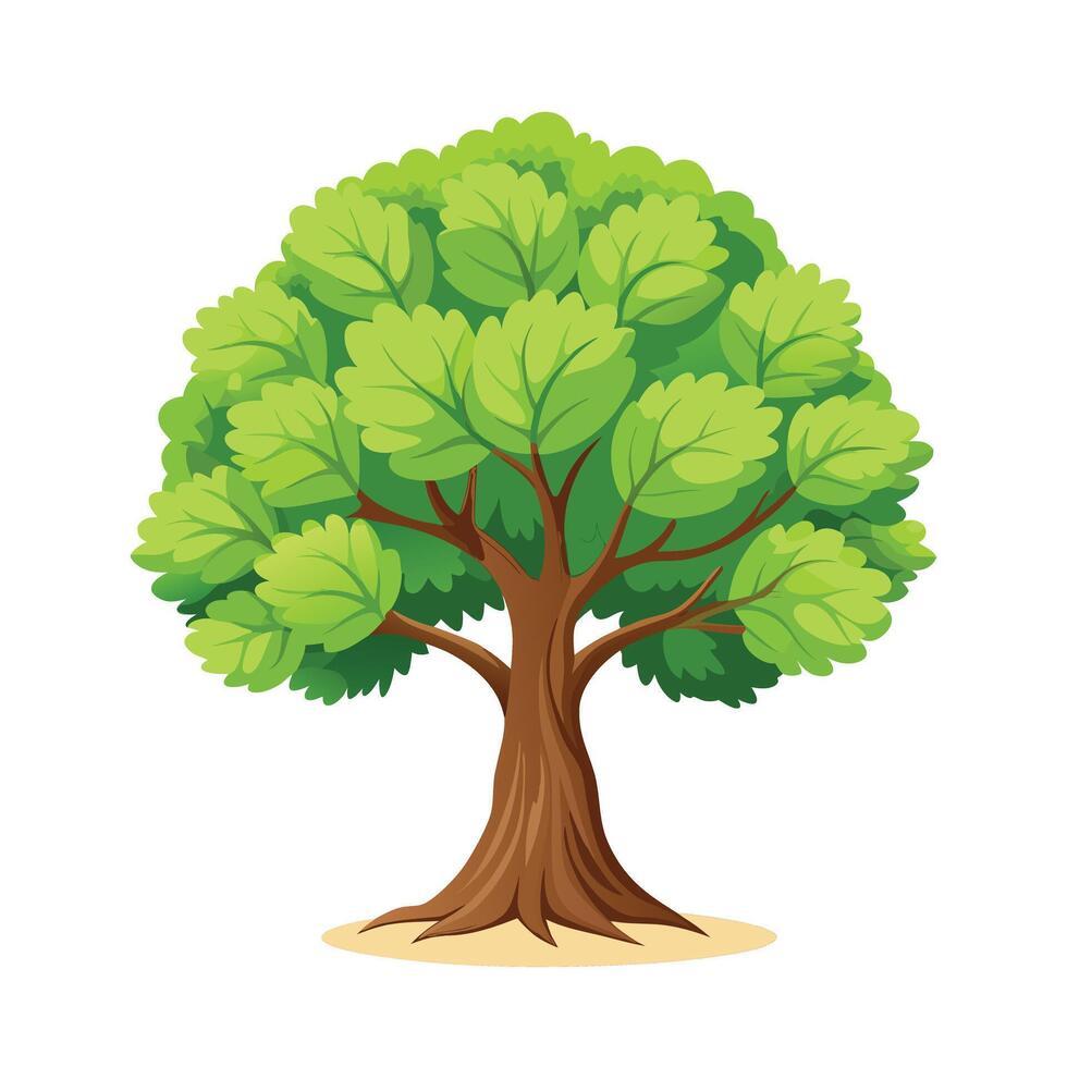 Beautiful Single Big Tree Illustration vector