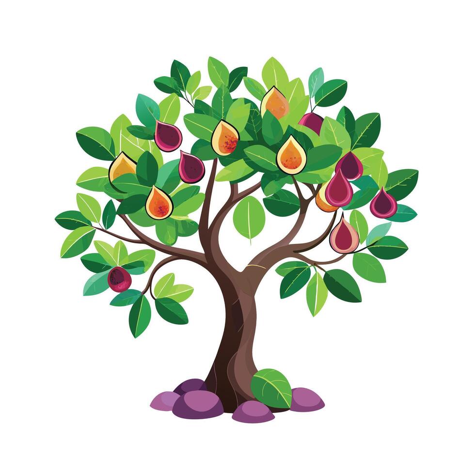 Beautiful Single Big Tree Illustration vector