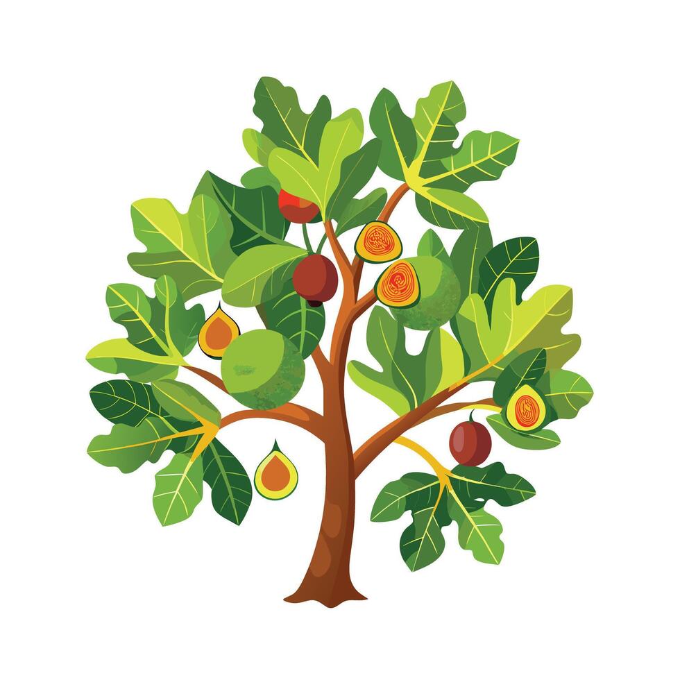 Beautiful Single Big Tree Illustration vector