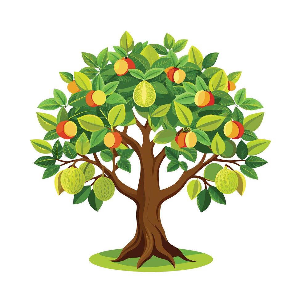 Beautiful Single Big Tree Illustration vector