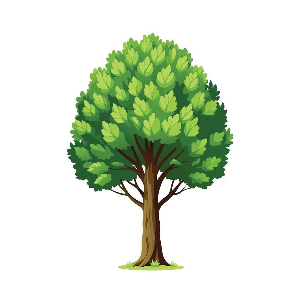 Beautiful Single Big Tree Illustration vector