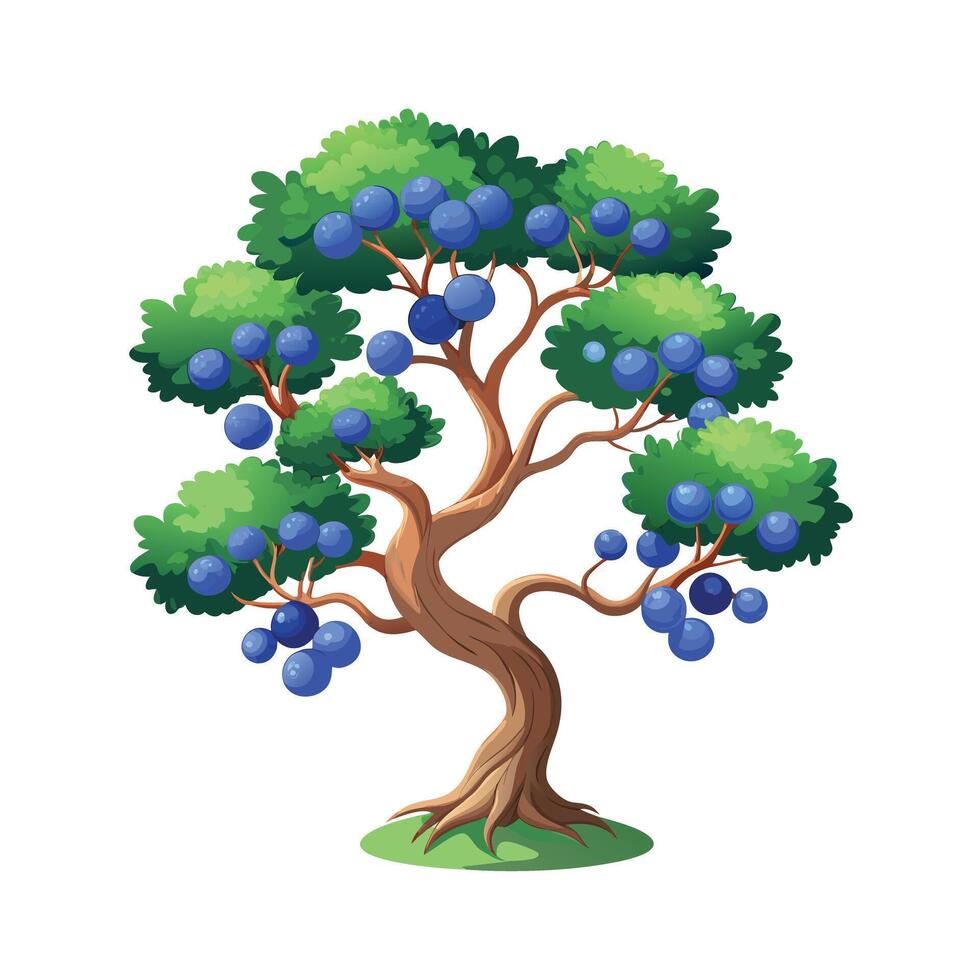 Beautiful Single Big Tree Illustration vector