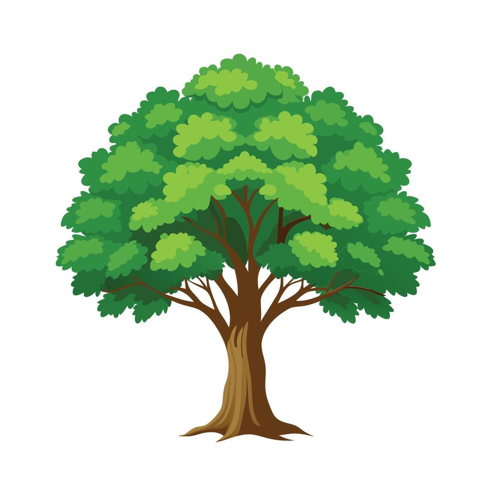Beautiful Single Big Tree Illustration vector