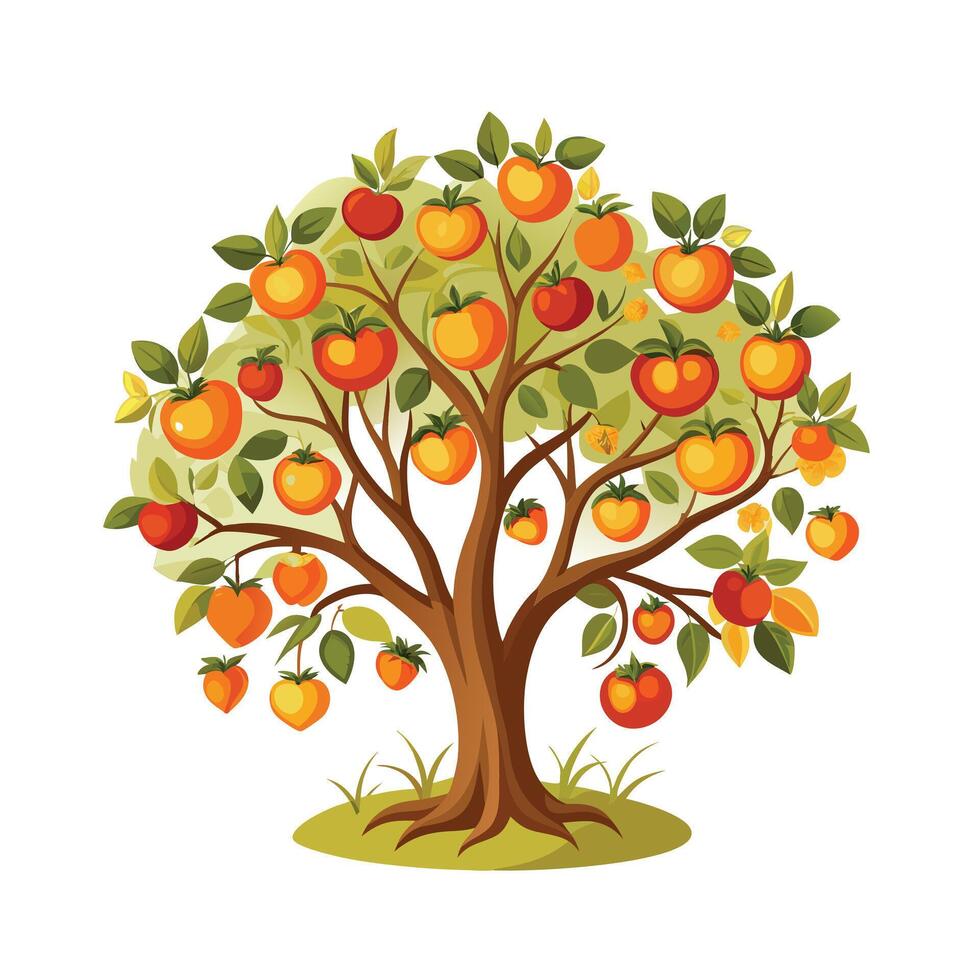 Beautiful Single Big Tree Illustration vector