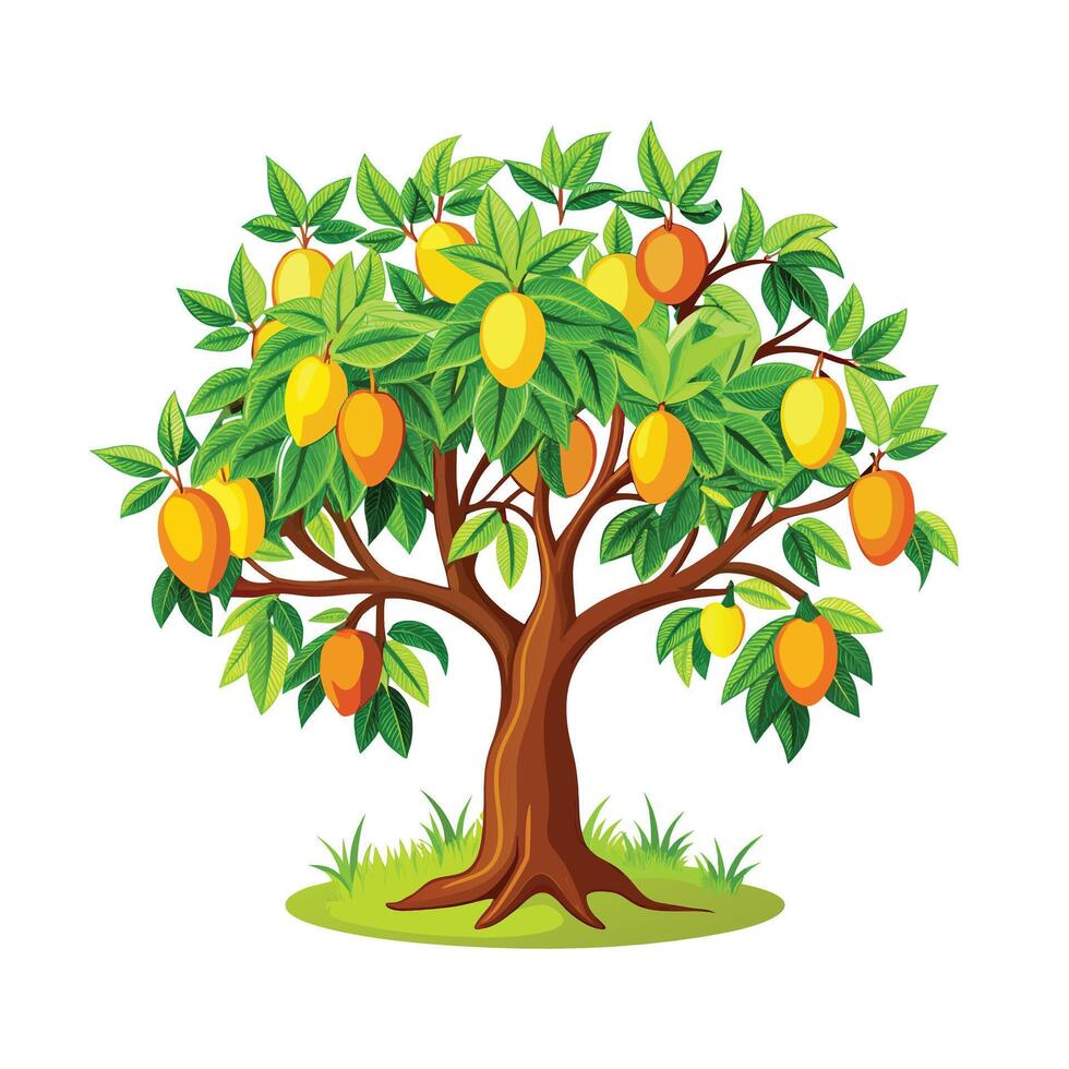 Beautiful Single Big Tree Illustration vector