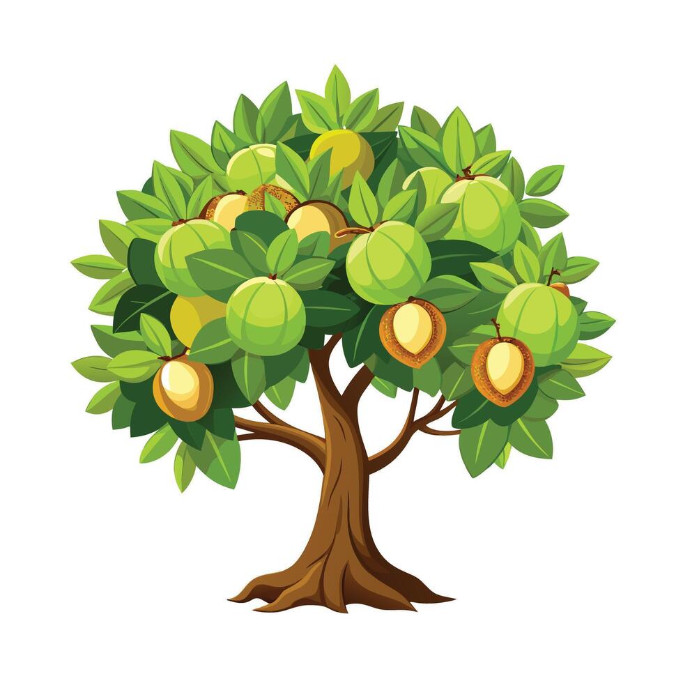 Beautiful Single Big Tree Illustration vector