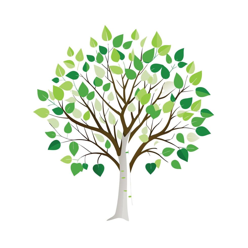 Beautiful Single Big Tree Illustration vector