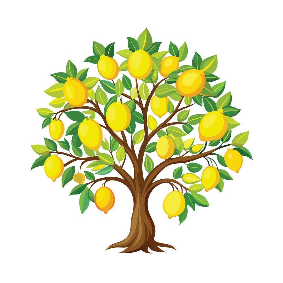 Beautiful Single Big Tree Illustration vector