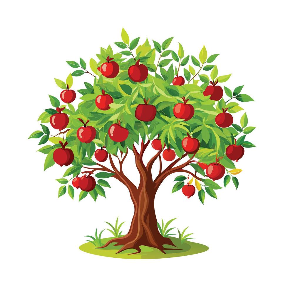 Beautiful Single Big Tree Illustration vector
