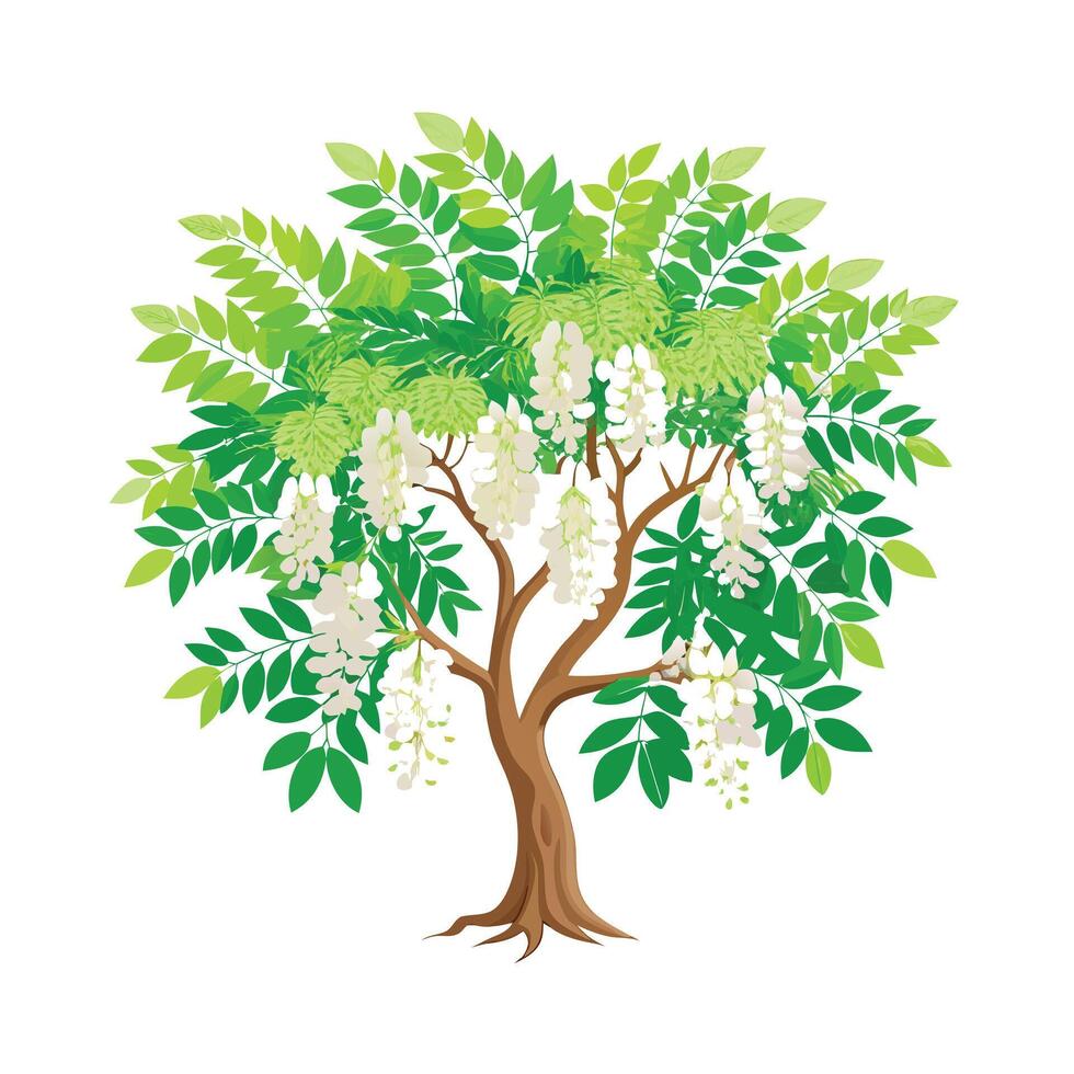 Beautiful Single Big Tree Illustration vector