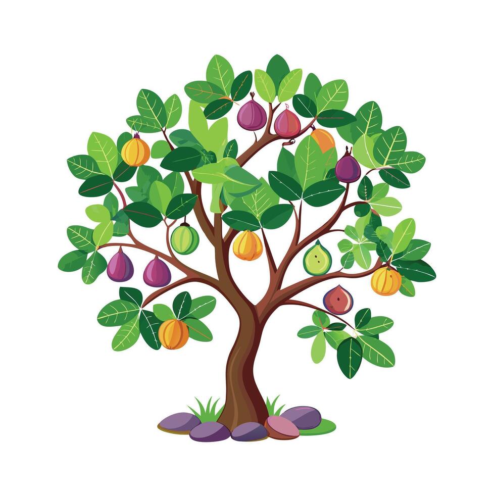 Beautiful Single Big Tree Illustration vector