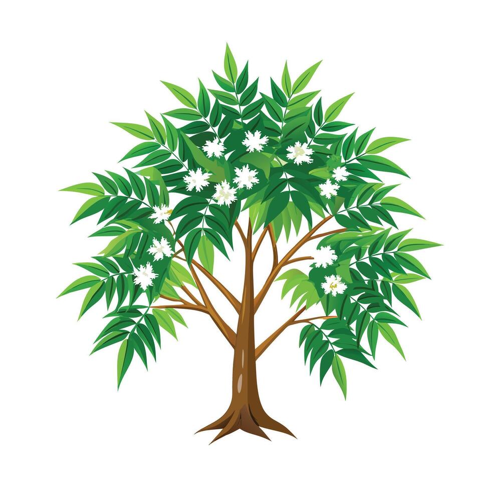 Beautiful Single Big Tree Illustration vector