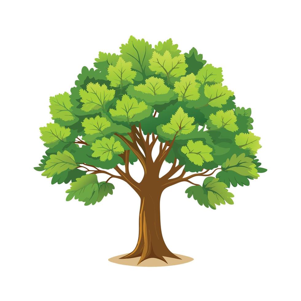 Beautiful Single Big Tree Illustration vector