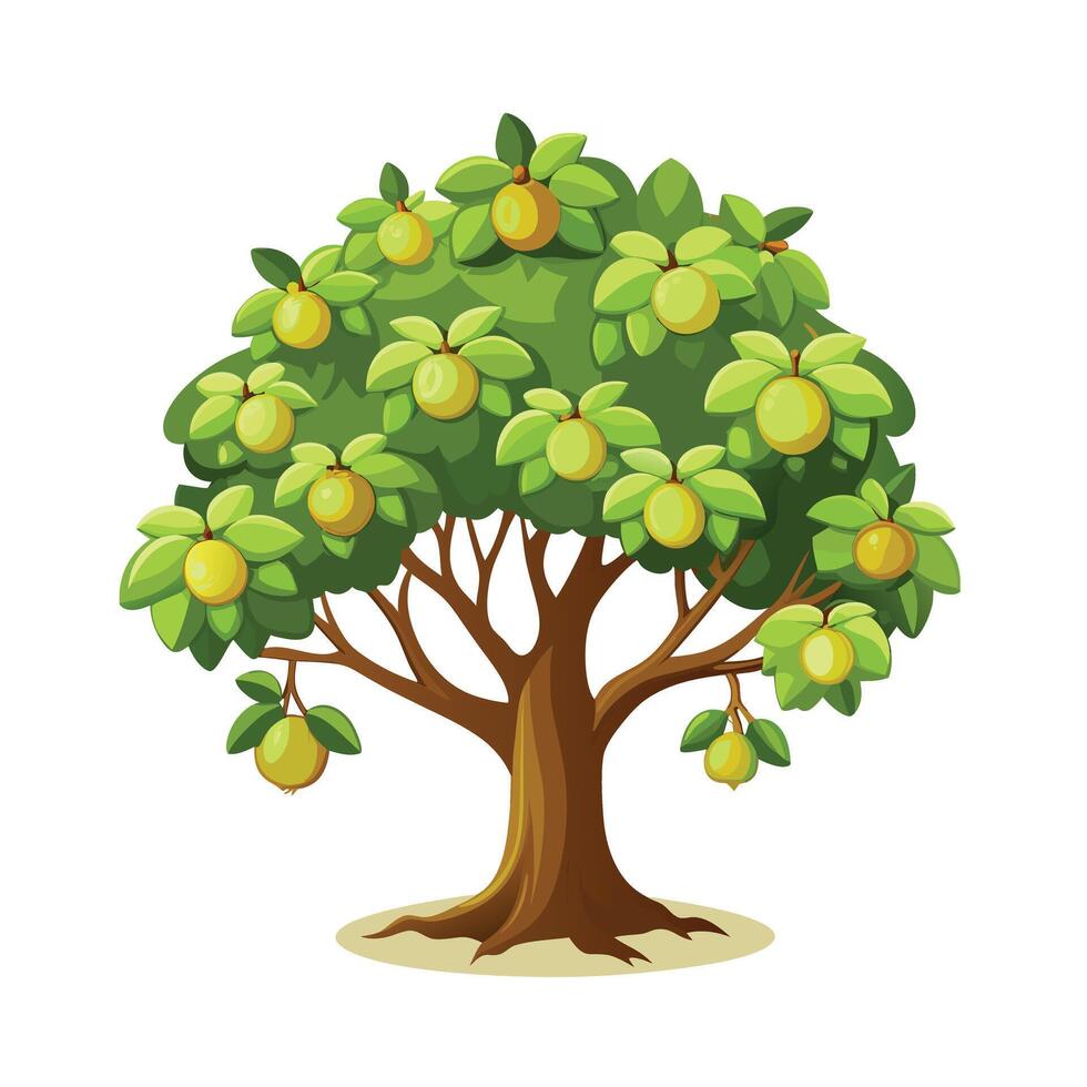 Beautiful Single Big Tree Illustration vector