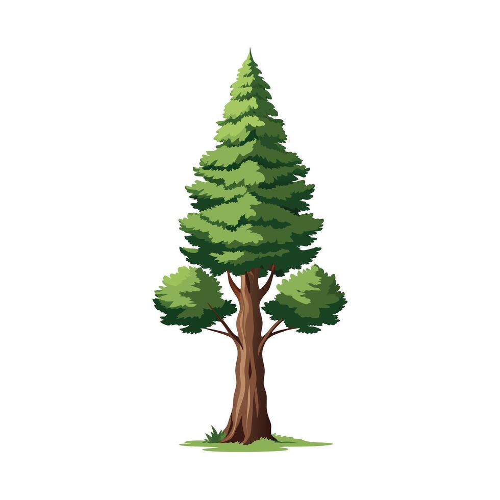 Beautiful Single Big Tree Illustration vector