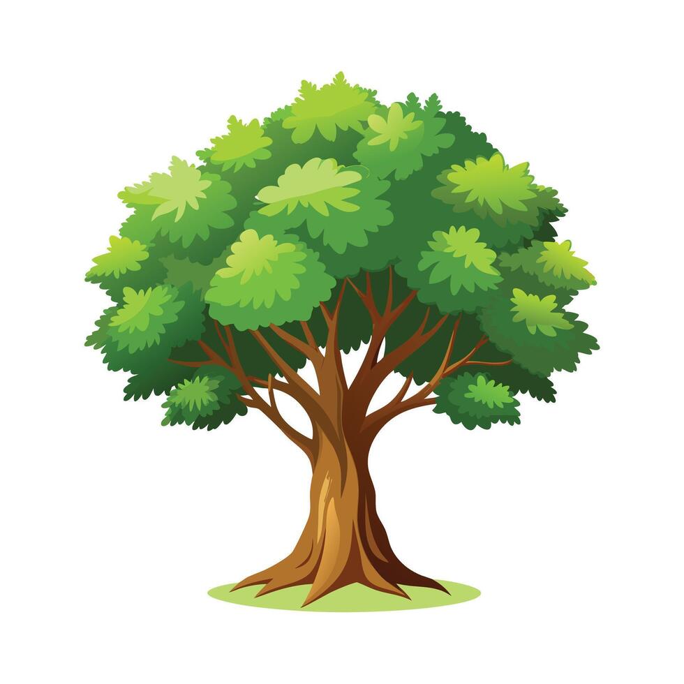 Beautiful Single Big Tree Illustration vector