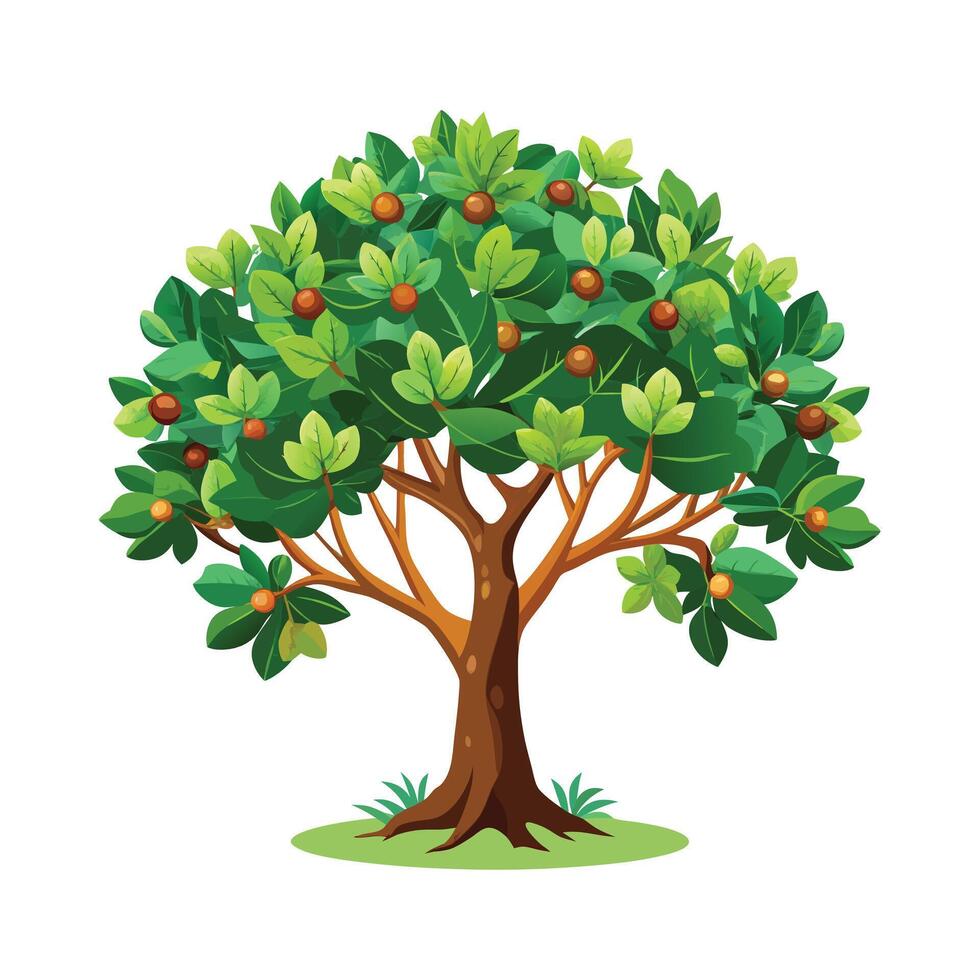 Beautiful Single Big Tree Illustration vector