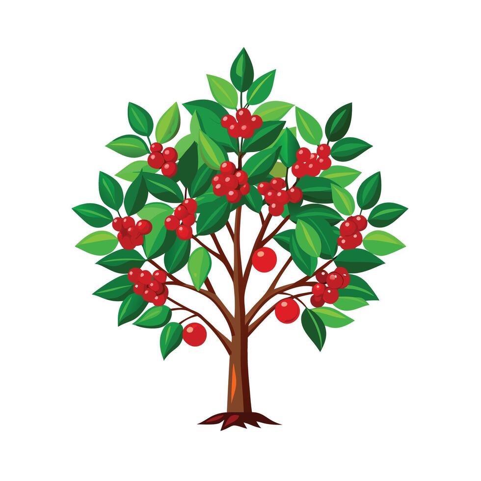 Beautiful Single Big Tree Illustration vector