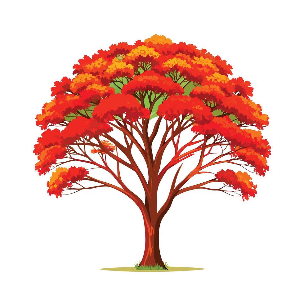 Beautiful Single Big Tree Illustration vector