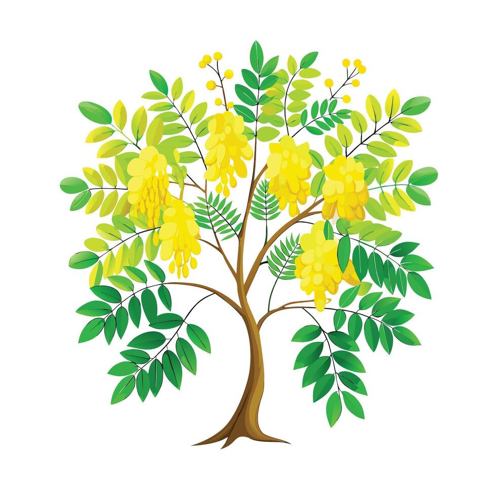 Beautiful Single Big Tree Illustration vector